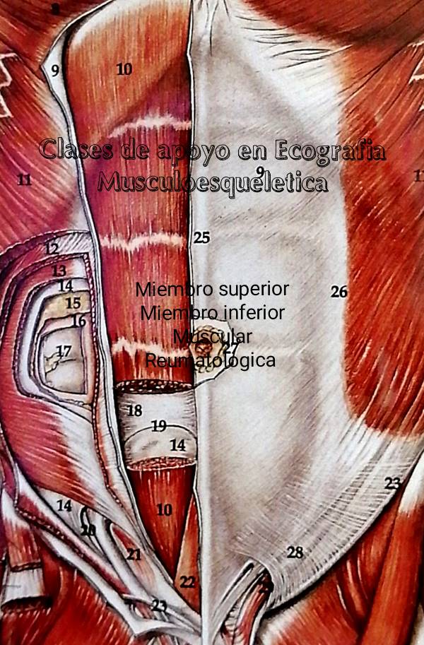 Ecografia Rodilla